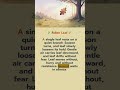 🌿 Fallen Leaf | English Life Story Listening | #a2english  #b1english