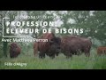 Profession eleveur de bisons reportage