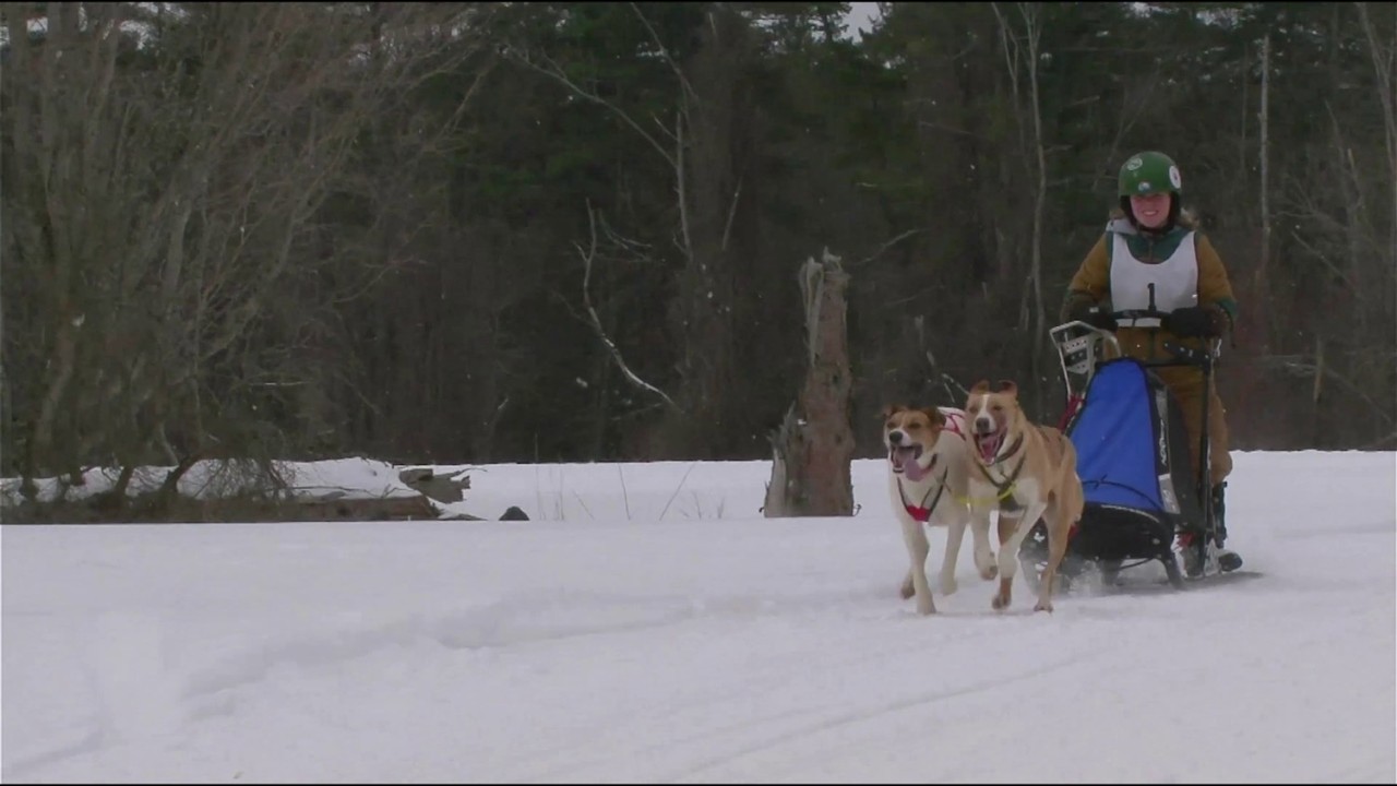 World Championship Sled Dog Derby 2026 (Saturday) - Laconia NH