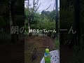 #Shorts #ルーティーン