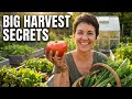 Starting a Vegetable Garden अपने घर में उपलब्ध जगह पर हरी सब्ज़ियाँ उगाएँ #gardening #diy