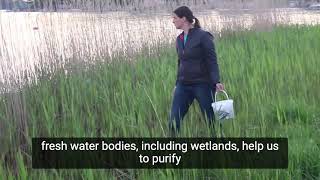 Lake ecosystem restoration - human nature relations