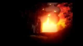 We Didn't Start the Fire (AMV)