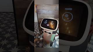 Robot Waiters At Karachi Pizza Intoronto Robot Bella Bot Innovative Robot For Restaurants