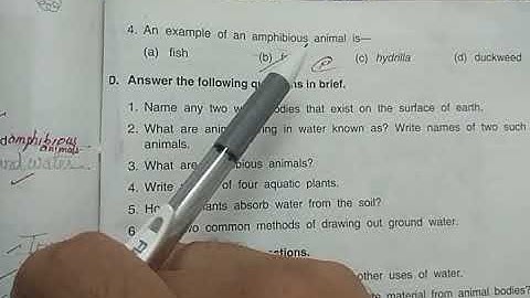 DAV Nahan Class-V Science Lesson-7, Part-7