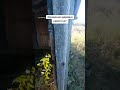 Брошенный дом, целая деревня пустая