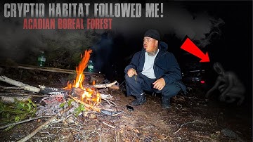(CRYPTID WANTED MY BLOOD!) THEY SURROUNDED ME while CAMPING In HAUNTED APPALACHIAN FOREST