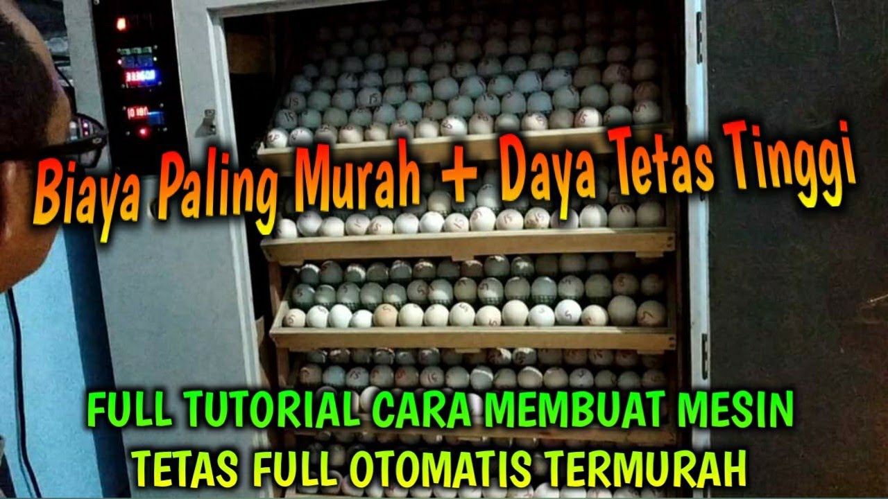 FULL TUTORIAL TERLENGKAP CARA MEMBUAT MESIN TETAS FULL OTOMATIS DGN MODAL TERMURAH