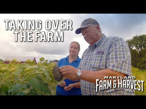 Video: Över 130 Undernärda Hästar Räddade Från Maryland Farm