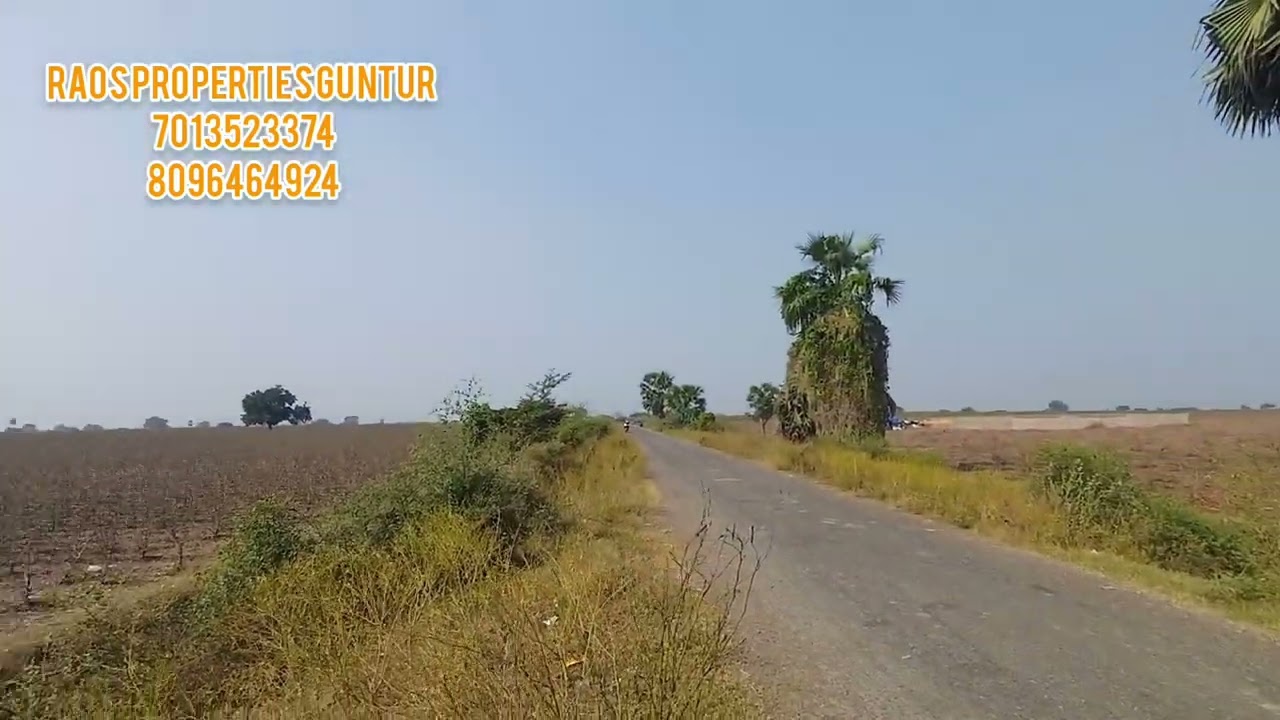 AGRICULTURE LAND FOR SALE GUNTUR DISTRICT KROSUR MANDAL VIPPARLA VILLAGE