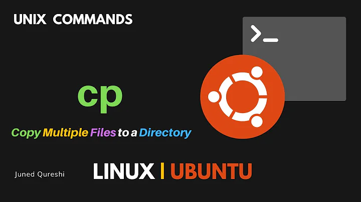 How to Copy Multiple Files to a Linux Directory Using cp Command in Linux Terminal