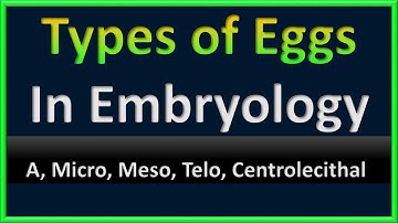 Egg Types in Embryology | A, Micro, Meso, Telo, Centrolecithal Eggs