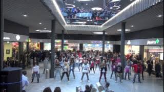 Flashmob 'Party Rock Anthem' 'LMFAO' Stücki Basel