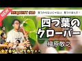 【スイスピ】四つ葉のクローバー(槇原敬之)-見つからないじゃない、見つけるんだ!【リクエスト】全部自分一人でカヴァーしてみた!【Showcase】