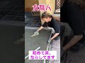 お初！玄関の下地ならしました！ #shorts