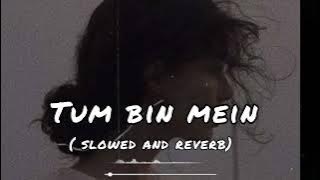 Tum bin mein  dekho to kya se kya hogi beithi ❤ // [ slowed and reverb ]  lofi version