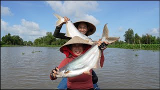 922 / Giăng Câu Cá Tra Về Đãi Khách