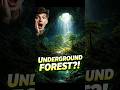 “A Secret Forest Found Under the Earth 😳🌿”#shorts #facts #didyouknow #viral #earth