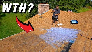 A Cheap Way to Extend the Life of Your Roof  Will It Work?