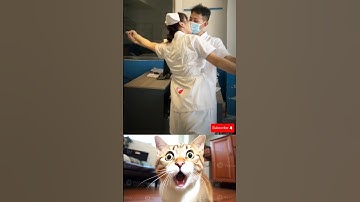 give this video title 😝 (warning answer) #cat #memes #dance #trending