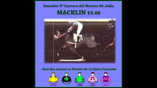 Vidéo de la course PMU PREMIO GEOCITY