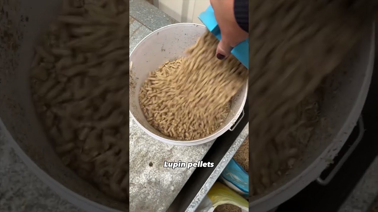 It’s feeding time! 