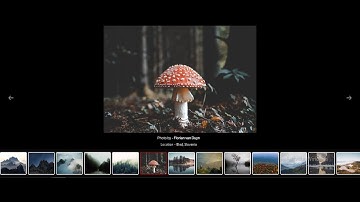 Lightbox Gallery: How To Create A Modal Image Gallery (Lightbox) With HTML, CSS And JavaScript 🔥