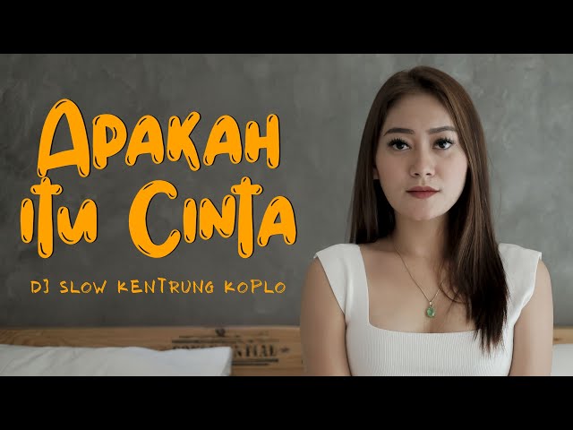 Dj Kentrung Koplo - Vita Alvia - Apakah Itu Cinta (Official Music Video ANEKA SAFARI) class=