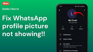 Whatsapp Profile Picture Not Showing? Fix It In 5 Minutes 2026 Guide