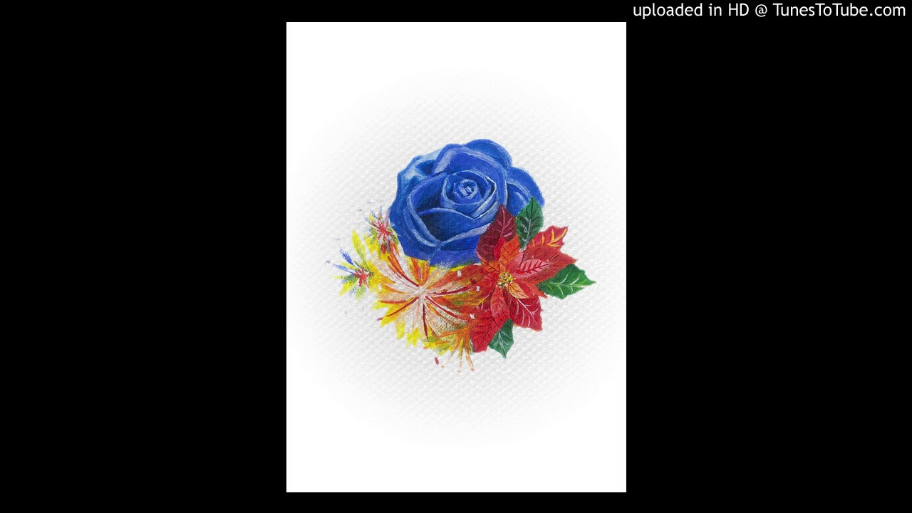 Lady Gaga - Million Reasons (Live from the Victoria’s Secret 2016 Fashion Show)