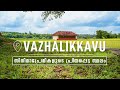 Vazhalikkavu | Famous Movie Shooting Location | Kerala | Malayalam Vlog