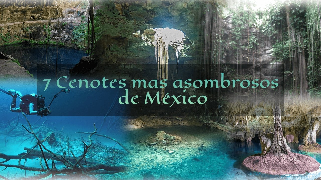 7 Cenotes mas asombrosos de México