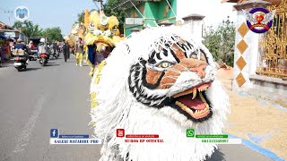 Rindu Batin ⭐️ Burok Bintang Panorama ✨ Mundu, 07 Mei 2023