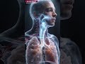 Ice Cream vs Asthma: The Truth in 60 Seconds