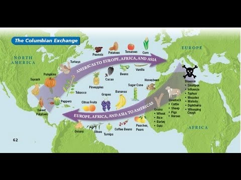 what is the columbian exchange