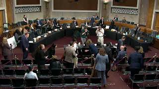 U.S. Citizens Testify About DHS/ICE’s Use of Violent Force