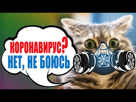 Коронавирус у домашних животных. МИФ или РЕАЛЬНОСТЬ?