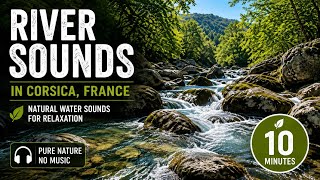 River Sounds in Corsica, France | Natural Water Sounds for Relaxation