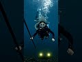 Giant Monster Catfish Attacks Diver Underwater 😱🐟#fishing #trending #youtubeshorts