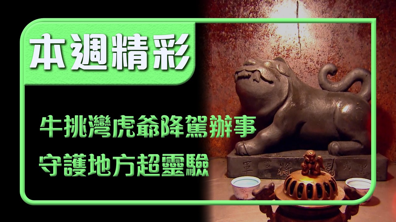 嘉義牛挑灣虎爺降駕辦事！超靈驗守護地方百年信仰｜本週精彩｜寶島神很大
