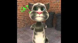Talking Tom-I'm a dumb cat!