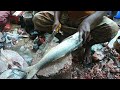 Amazing Fish Cutting Skills in Chittagong Fish Market | Fish Cutting Knife