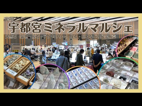 【宇都宮ミネラルマルシェ】天然石（鉱物・原石・アクセサリー）化石・隕石などの展示販売【ライトキューブ宇都宮】