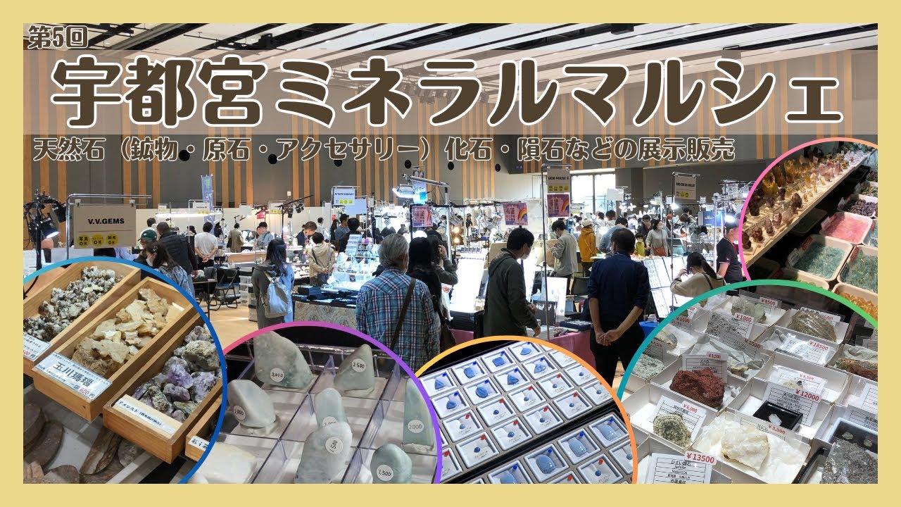 宇都宮ミネラルマルシェ】天然石（鉱物・原石・アクセサリー）化石