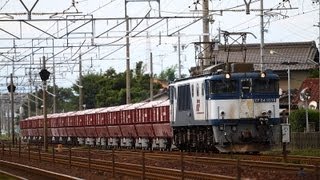 東海道本線8784列車(乙女坂～笠寺)EF64-1038+ホキ
