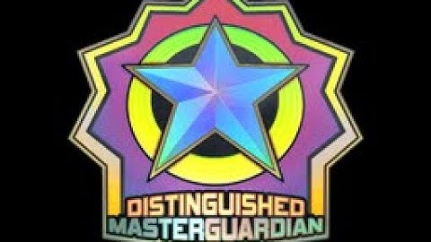 CS:GO Sticker Showcase - Distinguished Master Guardian Holo