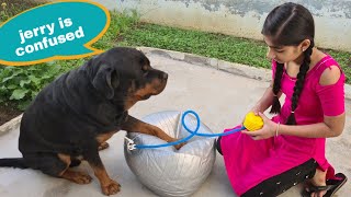 My dog is trying to help Anshu||funny dog videos.