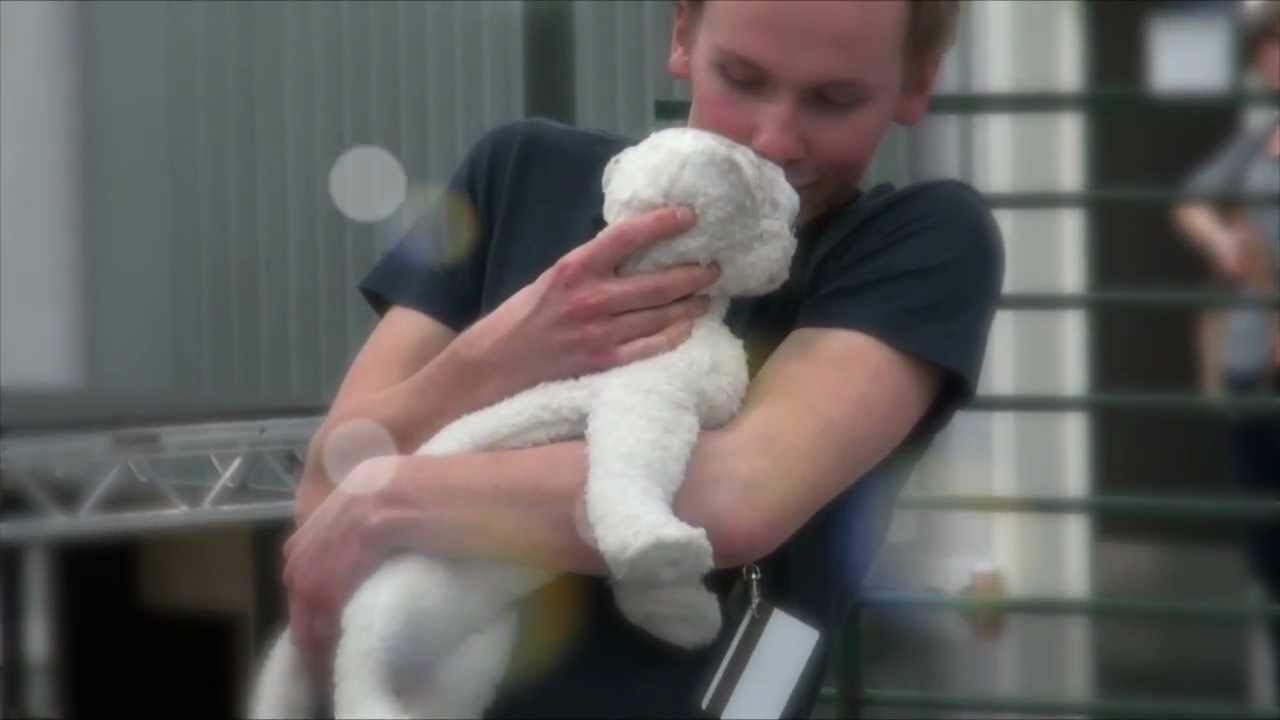 The Butterfly Lion trailer (2012) YouTube