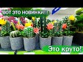 🌼ФИКС ПРАЙС🍀 БЕГОМ, А ТО ВСЕ РАЗБЕРУТ!!! НОВИНКИ ПРОСТО СУПЕР 👍Обзор сентябрь 2021