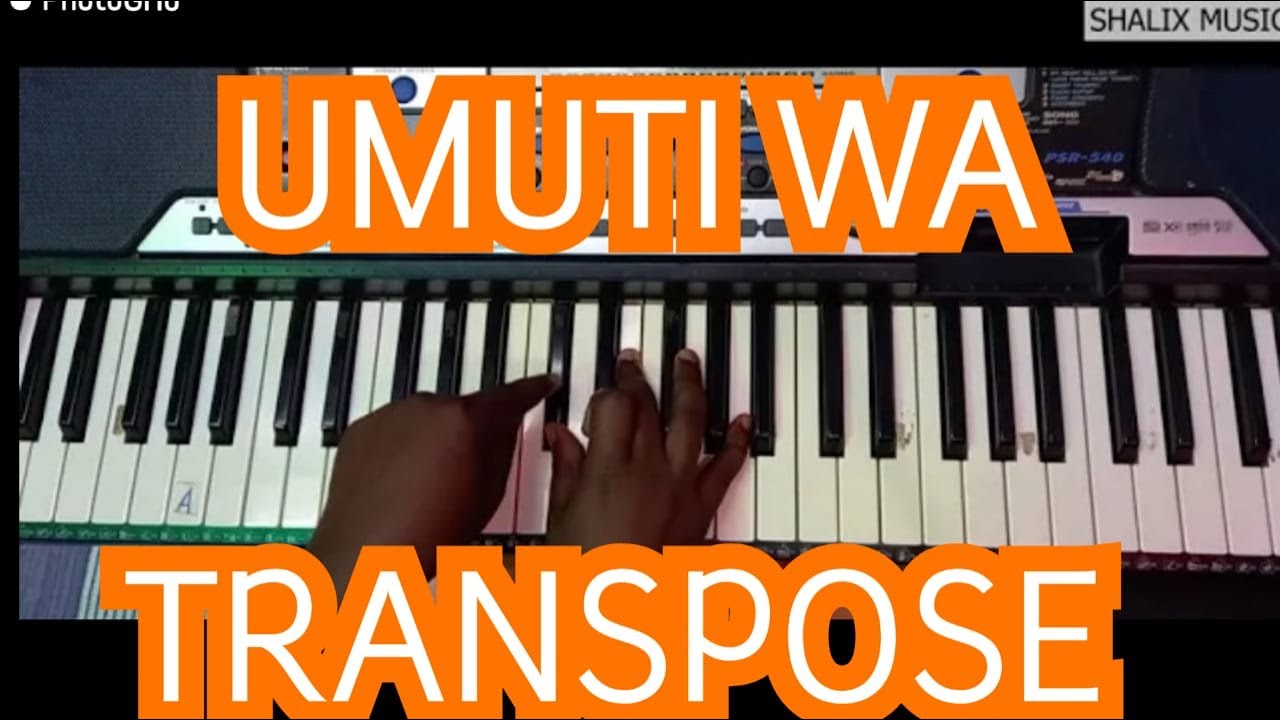 IGA UBURYO butandukanye BWAGUKIZA INDWARA YA TRANSPOSE.